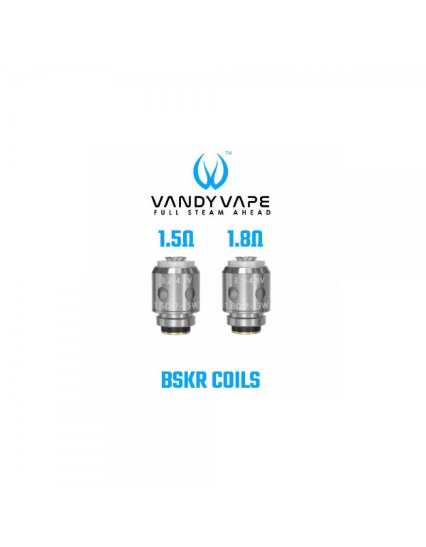 Vandyvape BSKR Coils - MTL Verdampfer